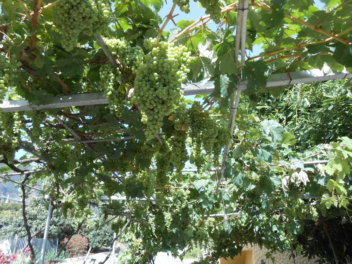Casitas Las Uvas Y Las Vinas Los Realejos Exterior foto